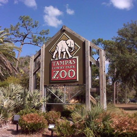 Budget Friendly Sleeps 8 Discounts Available Tampa Eksteriør billede
