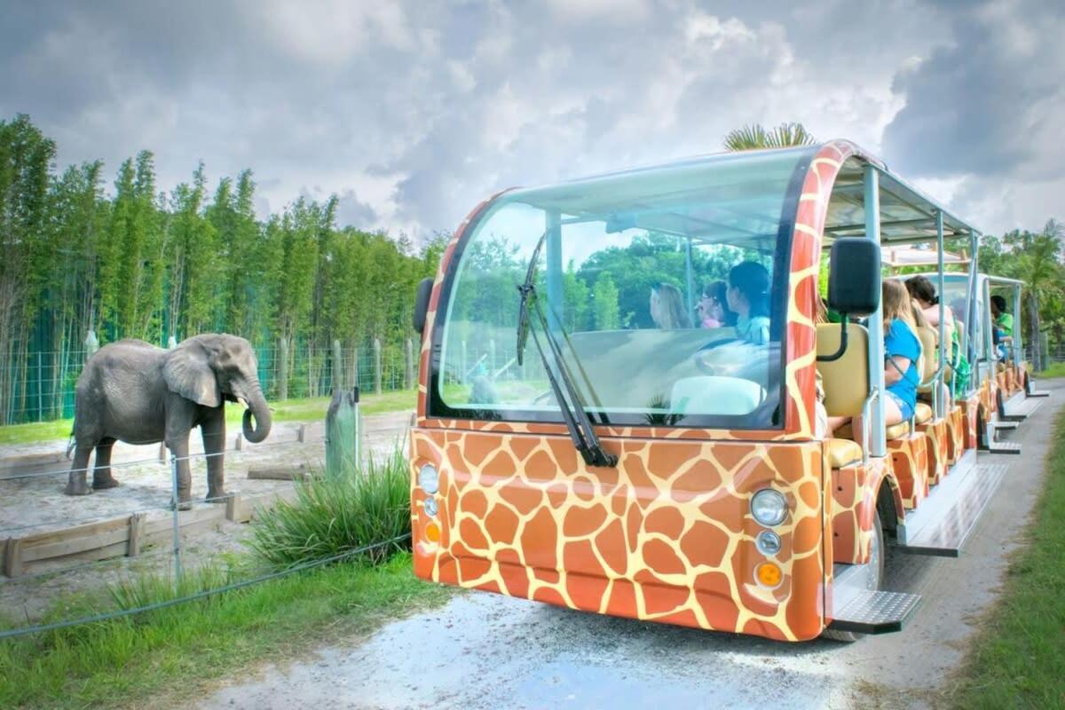 Budget Friendly Sleeps 8 Discounts Available Tampa Eksteriør billede