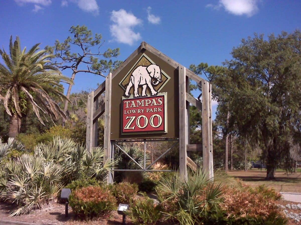 Budget Friendly Sleeps 8 Discounts Available Tampa Eksteriør billede